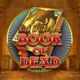 Book of Dead slot